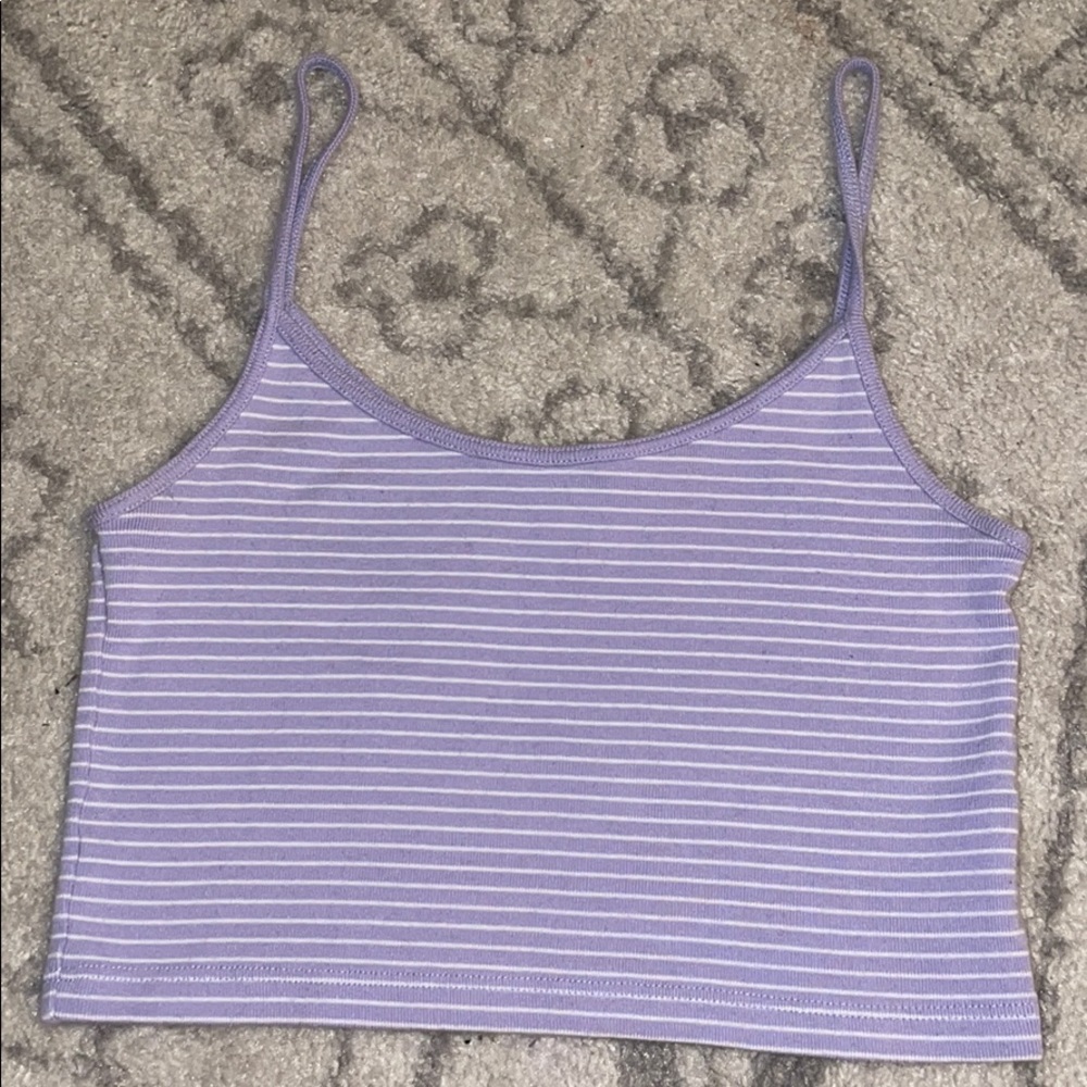 purple striped brandy melville tank